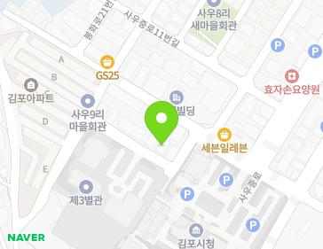 경기도 김포시 사우중로3번길 13-16 (사우동, 씨티원텔) 지도
