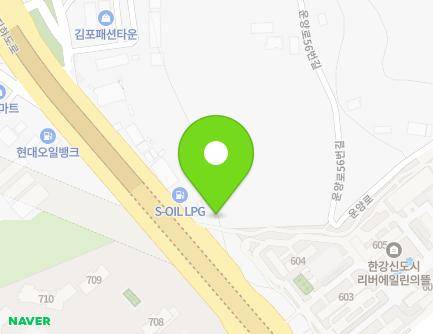 경기도 김포시 김포대로 1452 (운양동) 지도