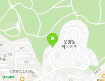 경기도 김포시 김포한강11로140번길 110 (운양동) 지도