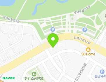 경기도 김포시 김포한강11로 438 (운양동) 지도