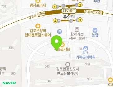 경기도 김포시 김포한강1로 238 (운양동) 지도