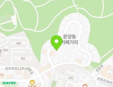 경기도 김포시 김포한강11로140번길 111 (운양동) 지도