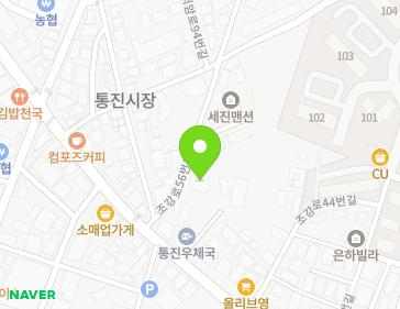경기도 김포시 통진읍 조강로56번길 12 지도