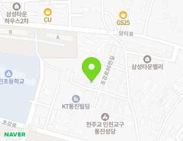 경기도 김포시 통진읍 조강로86번길 45-20 (해오름타운103동) 지도