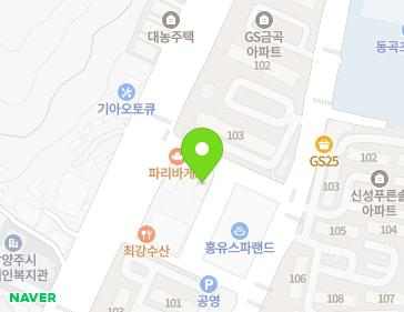 경기도 남양주시 홍유릉로 290-8 (금곡동, 현대오토서비스) 지도