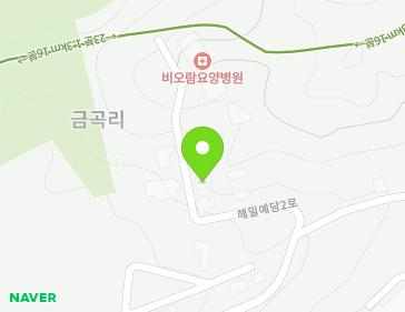 경기도 남양주시 진접읍 해밀예당2로 217-16 지도