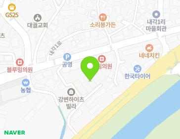 경기도 남양주시 진접읍 내각1로 78-9 (강변하이츠) 지도