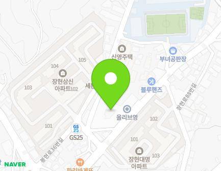 경기도 남양주시 진접읍 장현로 77 (장현프라자) 지도