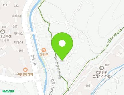 경기도 남양주시 천마산로14번안길 8 (호평동, 샛별유치원) 지도