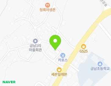 경기도 남양주시 화도읍 북한강로1503번길 12-6 (금남빌리지) 지도