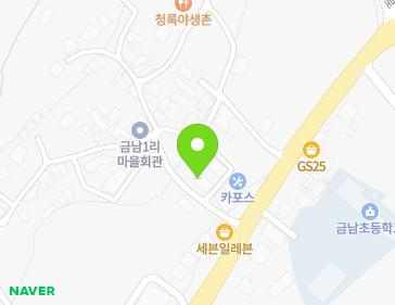 경기도 남양주시 화도읍 북한강로1503번길 6 (금남빌리지) 지도