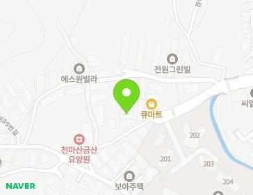 경기도 남양주시 화도읍 비룡로141번길 26-1 (파인힐하우스B동) 지도
