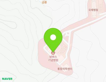 경기도 성남시 분당구 대왕판교로 155-7 (금곡동, 보바스기념병원) 지도