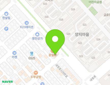 경기도 성남시 분당구 백현로 156 (정자동, 효승빌딩) 지도