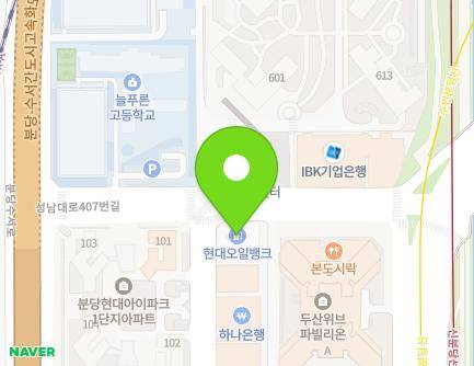 경기도 성남시 분당구 성남대로407번길 13 (정자동) 지도