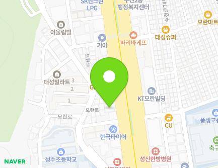 경기도 성남시 수정구 성남대로 1181 (수진동, 예건플라츠) 지도