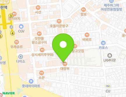 경기도 성남시 중원구 둔촌대로113번길 13 (성남동, 현대쉐르빌) 지도