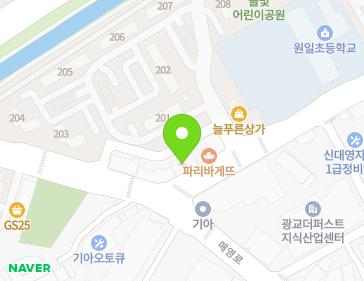 경기도 수원시 영통구 중부대로448번길 106 (원천동) 지도
