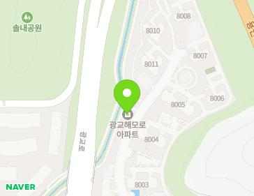 경기도 수원시 영통구 광교로 286 (이의동, 광교해모로아파트) 지도