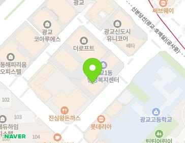 경기도 수원시 영통구 도청로89번길 30 (이의동, 이루리타워) 지도