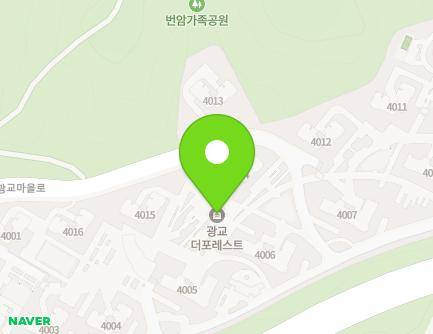 경기도 수원시 영통구 광교마을로 156 (하동, 광교더포레스트) 지도