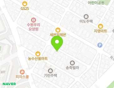 경기도 수원시 장안구 파장로21번길 11-6 (송죽동) 지도