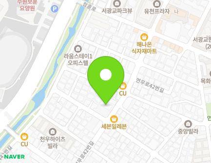 경기도 수원시 장안구 연무로42번길 29 (연무동, 미스터크린) 지도