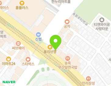 경기도 수원시 장안구 경수대로 918 (조원동) 지도