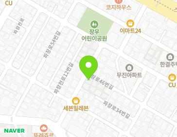 경기도 수원시 장안구 파장로46번길 24-2 (파장동, PISHON빌리지) 지도