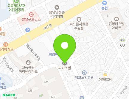 경기도 수원시 팔달구 매산로116번길 24 (교동, 피카소힐2동) 지도