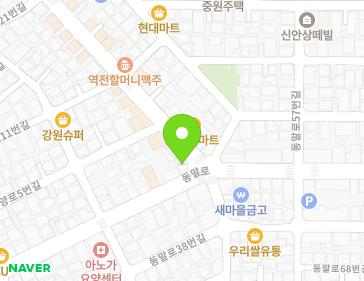 경기도 수원시 팔달구 동말로 45 (화서동) 지도