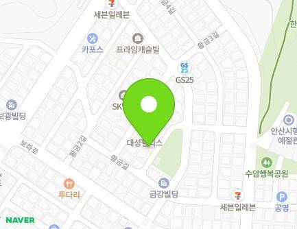 경기도 안산시 단원구 황금길 9-3 (고잔동, 행복Village) 지도