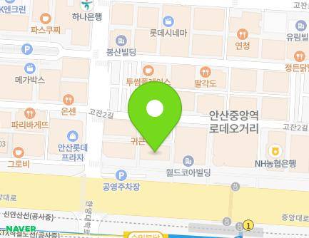 경기도 안산시 단원구 중앙대로 907 (고잔동, 안산종합상가) 지도
