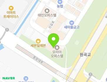 경기도 안산시 단원구 중앙대로 421 (신길동, 모리아오피스텔) 지도