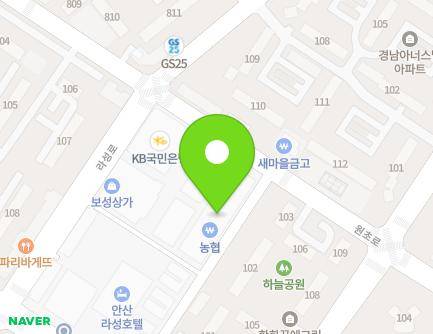 경기도 안산시 단원구 라성안길 17 (원곡동, 베스트플라자) 지도