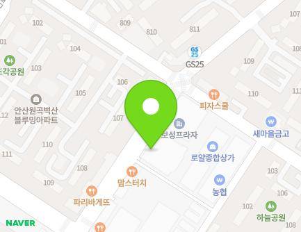 경기도 안산시 단원구 라성로 48 (원곡동, 보성상가) 지도