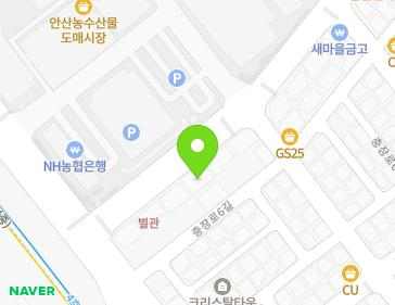 경기도 안산시 상록구 도매시장로 10 (이동) 지도