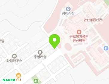 경기도 안산시 상록구 구룡로 85-1 (일동) 지도