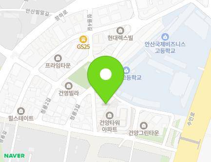 경기도 안산시 상록구 청룡길 21-8 (장상동, 전원주택) 지도
