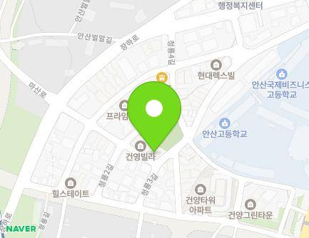경기도 안산시 상록구 청룡3길 7 (장상동, 건영빌라) 지도