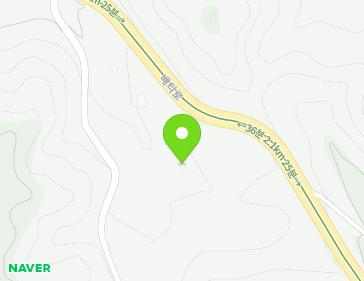 경기도 안성시 금광면 배티로 165 지도