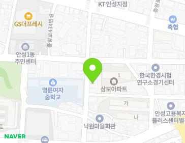 경기도 안성시 중앙로440번길 31 (낙원동) 지도