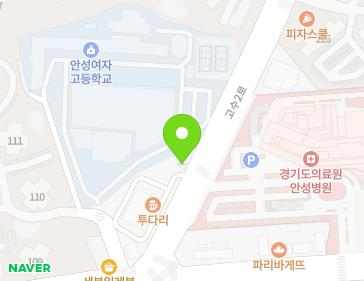 경기도 안성시 고수2로 45 (당왕동) 지도
