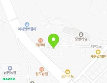 경기도 안성시 대덕면 중앙대학로 81 지도