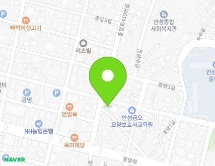 경기도 안성시 중앙로419번길 18 (봉남동) 지도