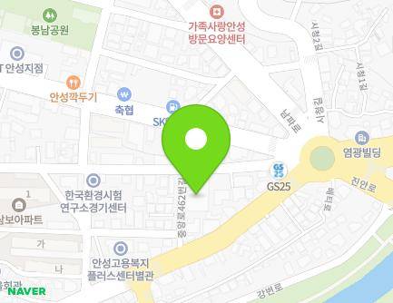 경기도 안성시 중앙로462번길 13 (봉산동, 중앙빌딩) 지도