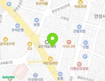 경기도 안성시 장기로 37 (인지동, 골든캐슬타워) 지도