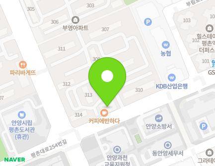 경기도 안양시 동안구 관평로212번길 15 (관양동, 부영상가) 지도