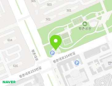 경기도 안양시 동안구 평촌대로 256 (관양동, 안양시공동구) 지도