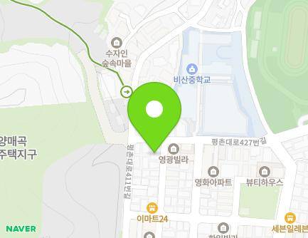 경기도 안양시 동안구 평촌대로427번길 53 (비산동) 지도